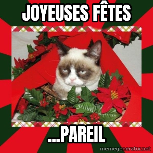 GRUMPY CAT ON CHRISTMAS meme: Joyeuses Fêtes / ...pareil