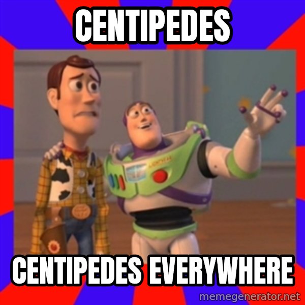 X, X Everywhere  meme: centipedes / centipedes everywhere