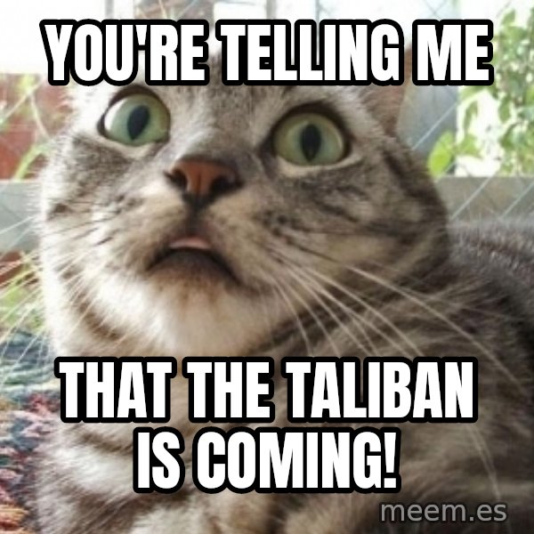 scared cat meme: You're telling me / that the taliban is coming!