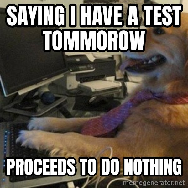 I have no idea what I'm doing - Dog with Tie meme: saying i have a test tommorow / proceeds to do nothing