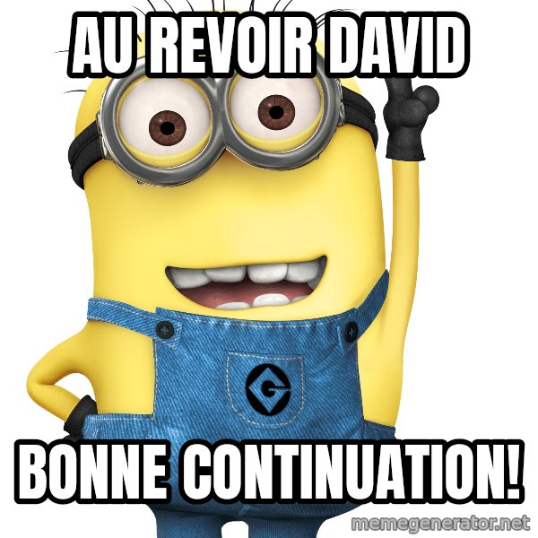 Despicable Me Minion meme: Au revoir David / Bonne continuation!