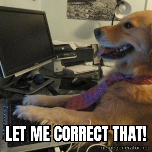 I have no idea what I'm doing - Dog with Tie meme: LET ME CORRECT THAT!