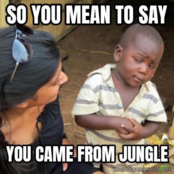 Skeptical 3rd World Kid meme: SO YOU MEAN TO SAY / YOU CAME FROM JUNGLE