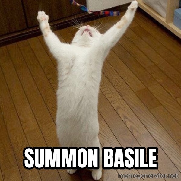 praise the lord cat meme: SUMMON BASILE
