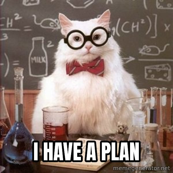 Chemistry Cat meme: I have a plan