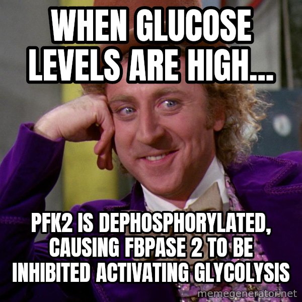 Willy Wonka meme: When glucose levels are high... / PFK2 is dephosphorylated, causing FBPase 2 to be inhibited activating glycolysis