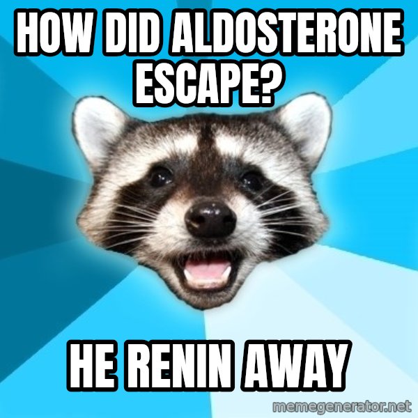 Lame Pun Coon meme: How did aldosterone escape? / He Renin away