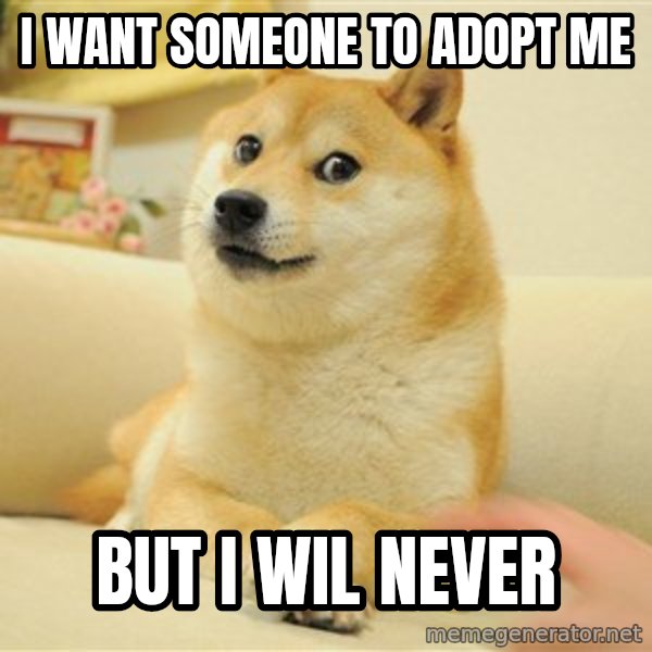so doge meme: i want someone to adopt me / but i wil never