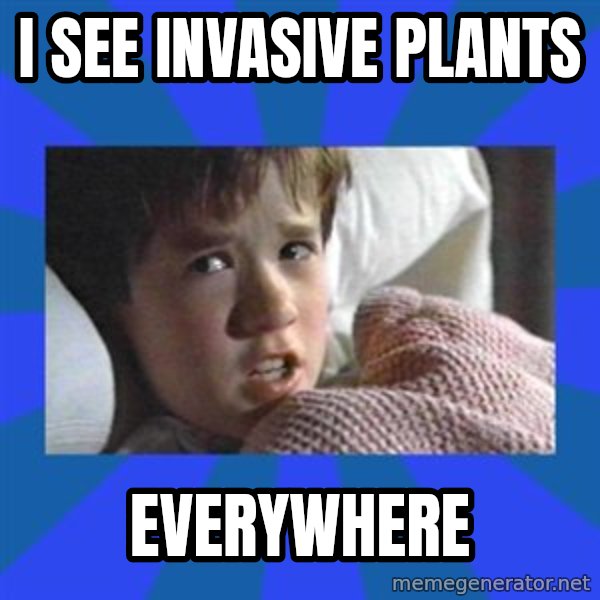 i see dead people meme: I see invasive plants / everywhere