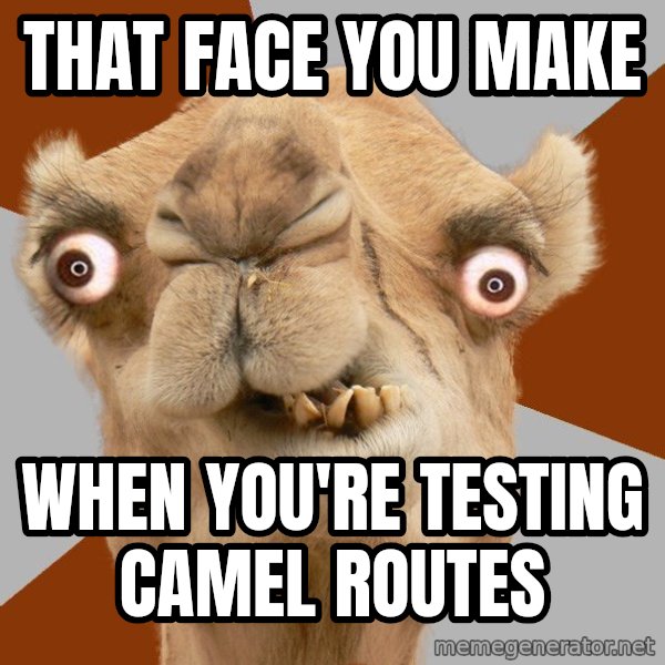 Crazy Camel lol meme: That face you make / when you're testing camel routes