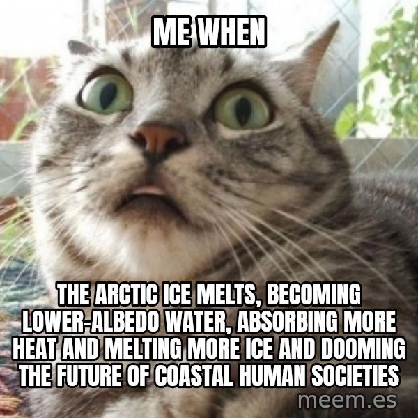 scared cat meme: Me when / The arctic ice melts, becoming lower-albedo water, absorbing more heat and melting more ice and dooming the future of coastal human societies