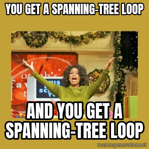 Oprah You get a meme: you get a spanning-tree loop / and you get a spanning-tree loop