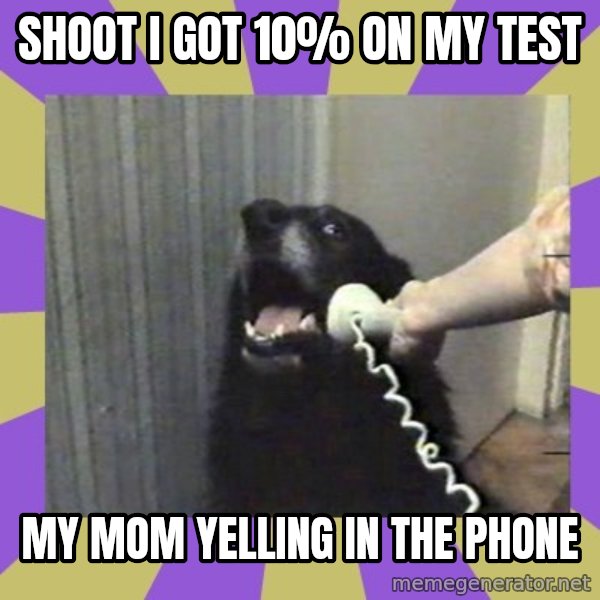 Yes, this is dog! meme: Shoot I got 10% on my test / My mom yelling in the phone