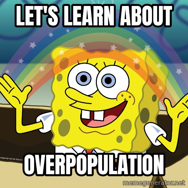 spongebob rainbow meme: LET'S LEARN ABOUT / OVERPOPULATION