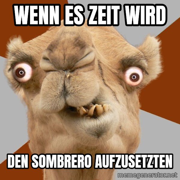 Crazy Camel lol meme: Wenn es zeit wird / den sombrero aufzusetzten