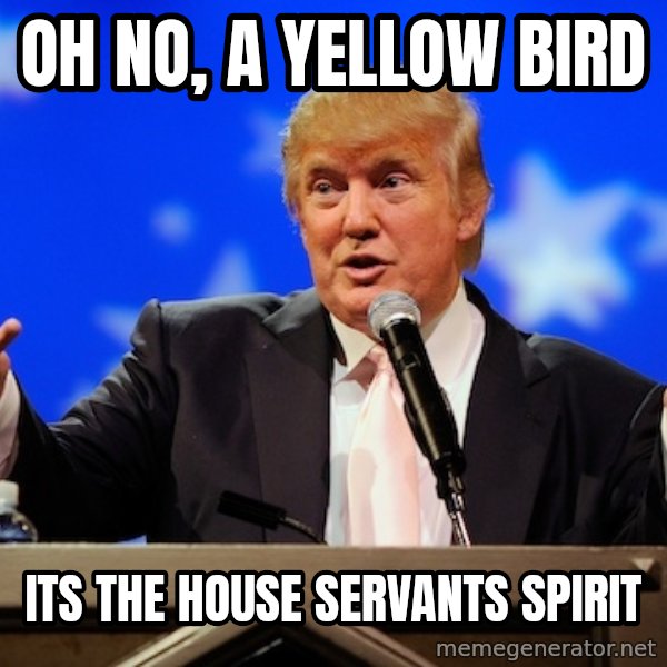 Annoying Facebook Girl meme: oh no, a yellow bird / its the house servants spirit