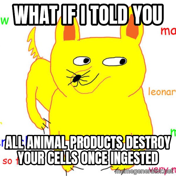 What If I Told You meme: What if I told you / All animal products destroy your cells once ingested