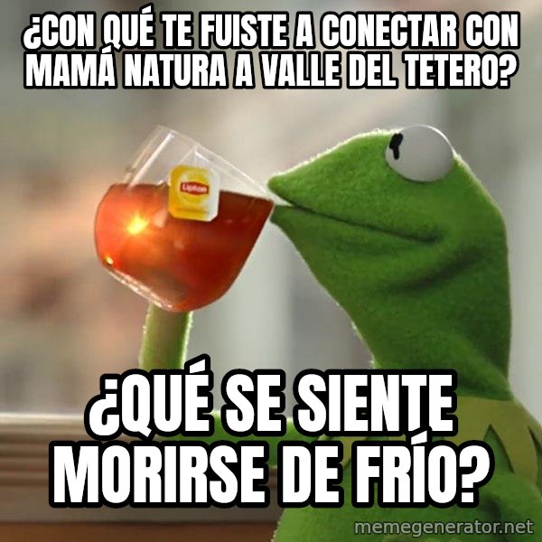 Kermit The Frog Drinking Tea meme: ¿Con qué te fuiste a conectar con mamá natura a Valle del Tetero? / ¿Qué se siente morirse de frío?