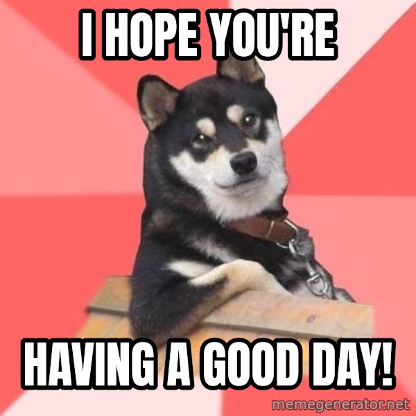 Cool Dog meme: I hope you're / having a good day!