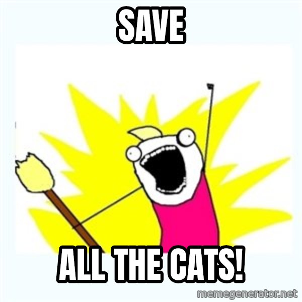 All the things meme: Save / All the cats!