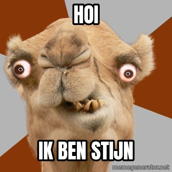 Crazy Camel lol meme: hoi / ik ben stijn