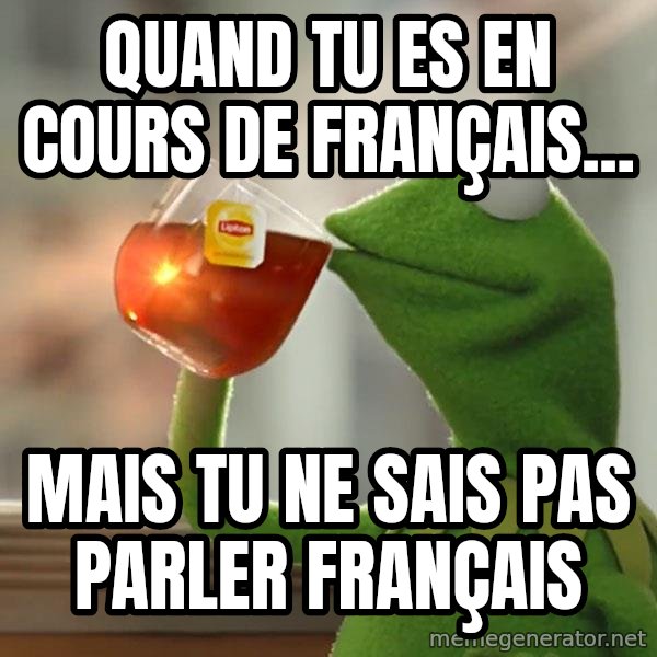 Kermit The Frog Drinking Tea meme: Quand tu es en cours de français... / Mais tu ne sais pas parler français