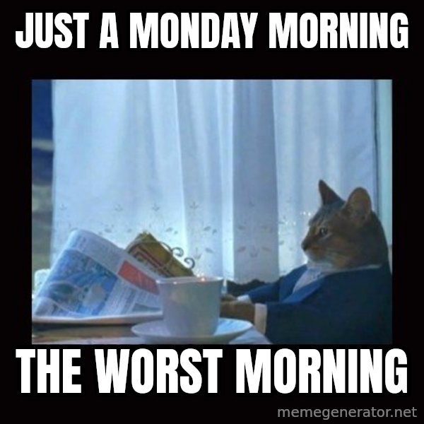 i should buy a boat cat meme: just a monday morning / The worst morning