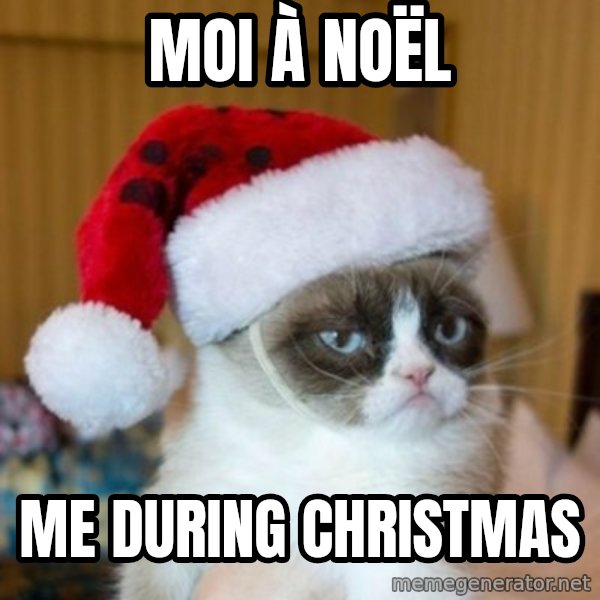 Grumpy Cat Santa Hat meme: Moi à Noël / me during christmas