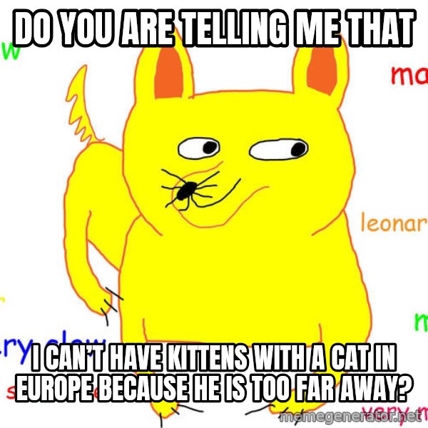 Grumpy Cat  meme: Do you are telling me that / I can’t have kittens with a cat in Europe because he is too far away?