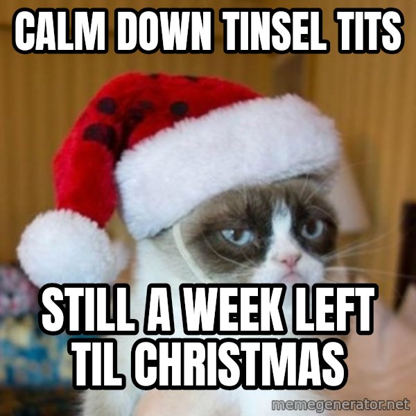 Grumpy Cat Santa Hat meme: Calm down tinsel tits / Still a week left til Christmas