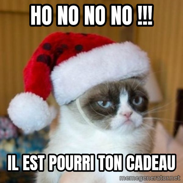 Grumpy Cat Santa Hat meme: Ho no no no !!! / Il est pourri ton cadeau