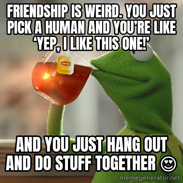 Kermit The Frog Drinking Tea meme: Friendship is weird. You just pick a human and you’re like ‘yep, i like this one!’ / And you just hang out and do stuff together 😍