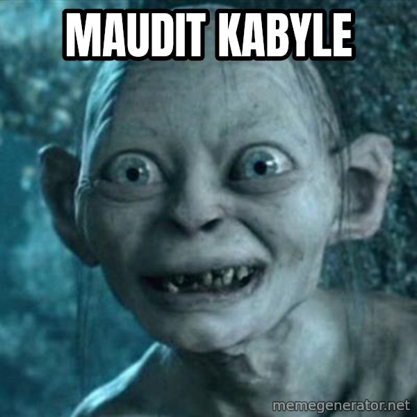 My Precious Gollum meme: MAUDIT KABYLE