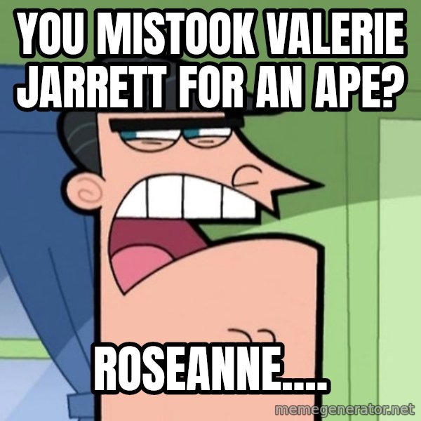 Dinkleberg meme: You mistook Valerie Jarrett for an ape? / Roseanne....