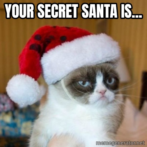 Grumpy Cat Santa Hat meme: Your Secret Santa is...
