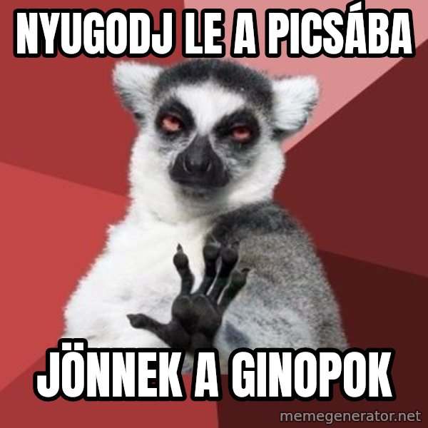 mindenki nyugodjon le a picsába meme: nyugodj le a picsába / jönnek a ginopok