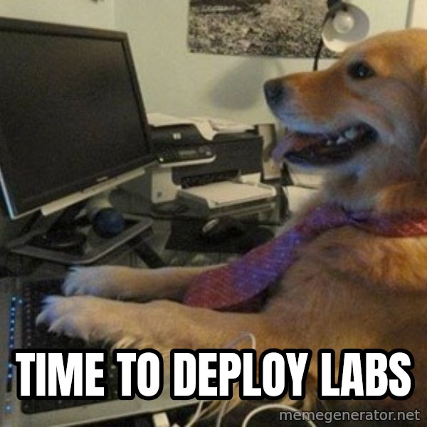 I have no idea what I'm doing - Dog with Tie meme: Time to deploy labs