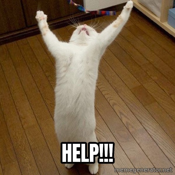 praise the lord cat meme: Help!!!