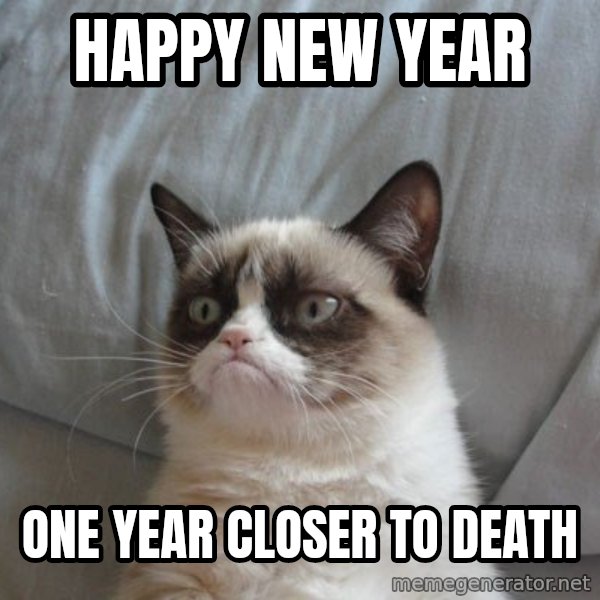 Grumpy cat good meme: Happy New Year / One year closer to death