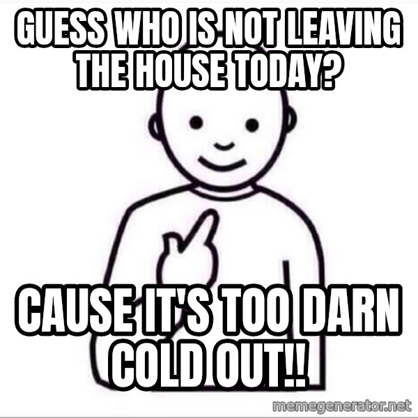 Guess who ? meme: Guess who is not leaving the house today? / Cause it's too darn cold out!!