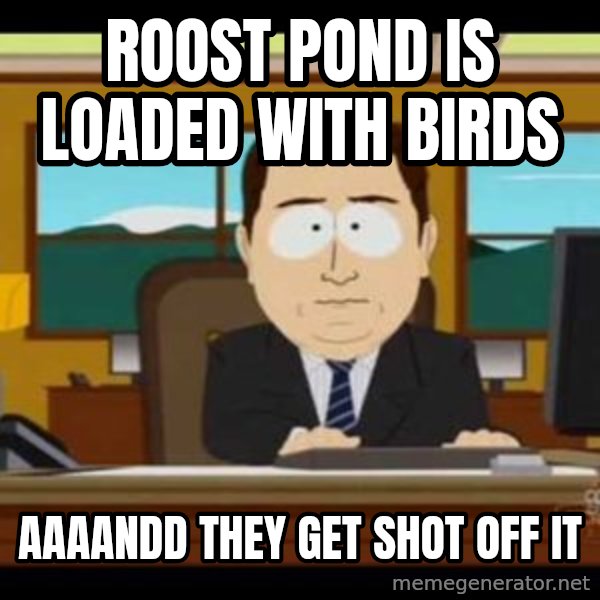 south park aand it's gone meme: Roost Pond is loaded with birds / Aaaandd they get shot off it