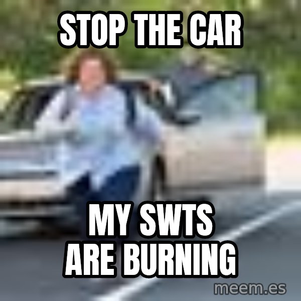 Melissa Mccarthy Running Away meme: Stop the car / My SWTs are burning