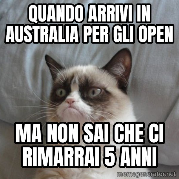 Grumpy cat good meme: Quando arrivi in Australia per gli Open / ma non sai che ci rimarrai 5 anni