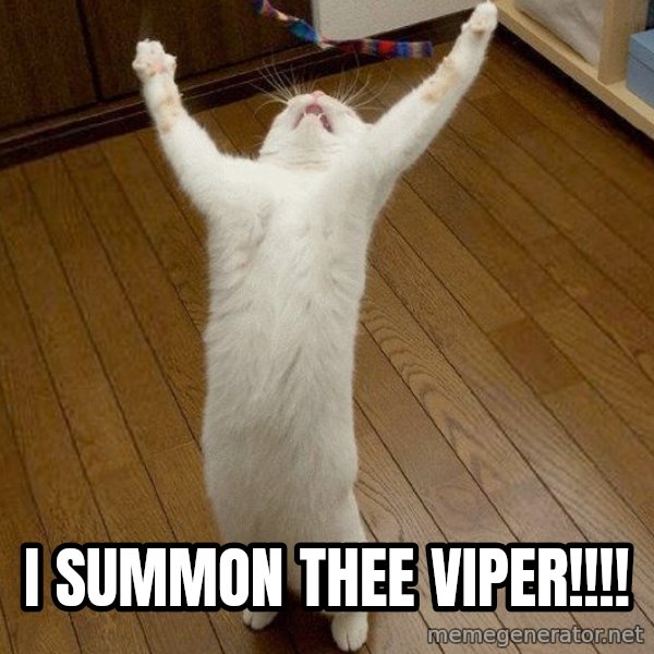praise the lord cat meme: I Summon Thee VIPER!!!!