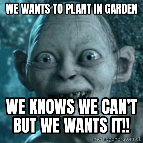 My Precious Gollum meme: WE WANTS TO PLANT IN GARDEN / WE KNOWS WE CAN'T BUT WE WANTS IT!!