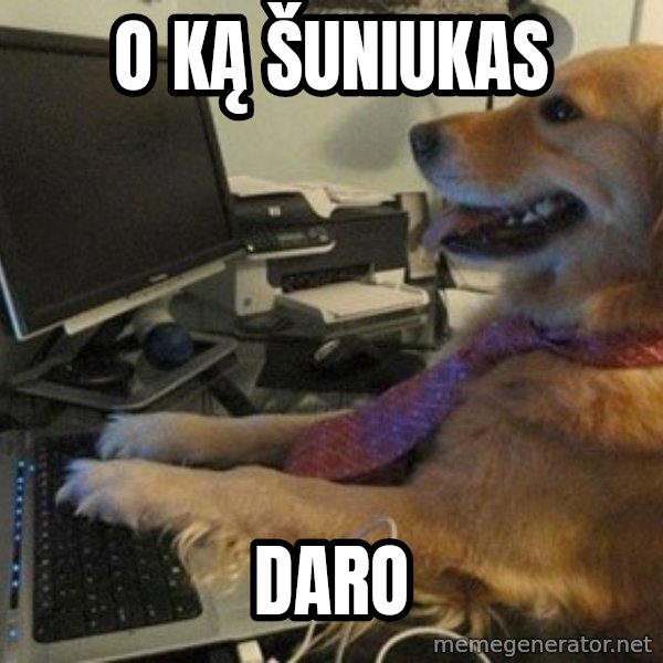 I have no idea what I'm doing - Dog with Tie meme: O ką šuniukas / Daro