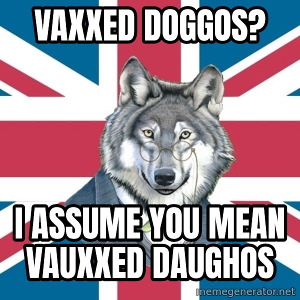Sir Courage Wolf Esquire meme: Vaxxed doggos? / I assume you mean Vauxxed Daughos