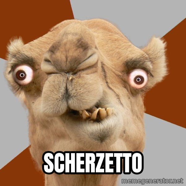 Crazy Camel lol meme: SCHERZETTO