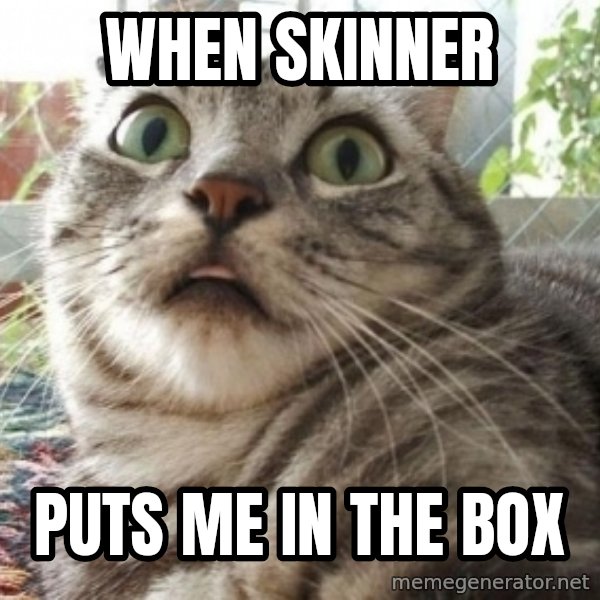 scared cat meme: When Skinner / Puts me in the box