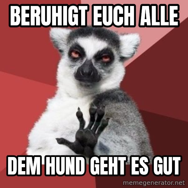 mindenki nyugodjon le a picsába meme: Beruhigt euch alle / dem Hund geht es gut